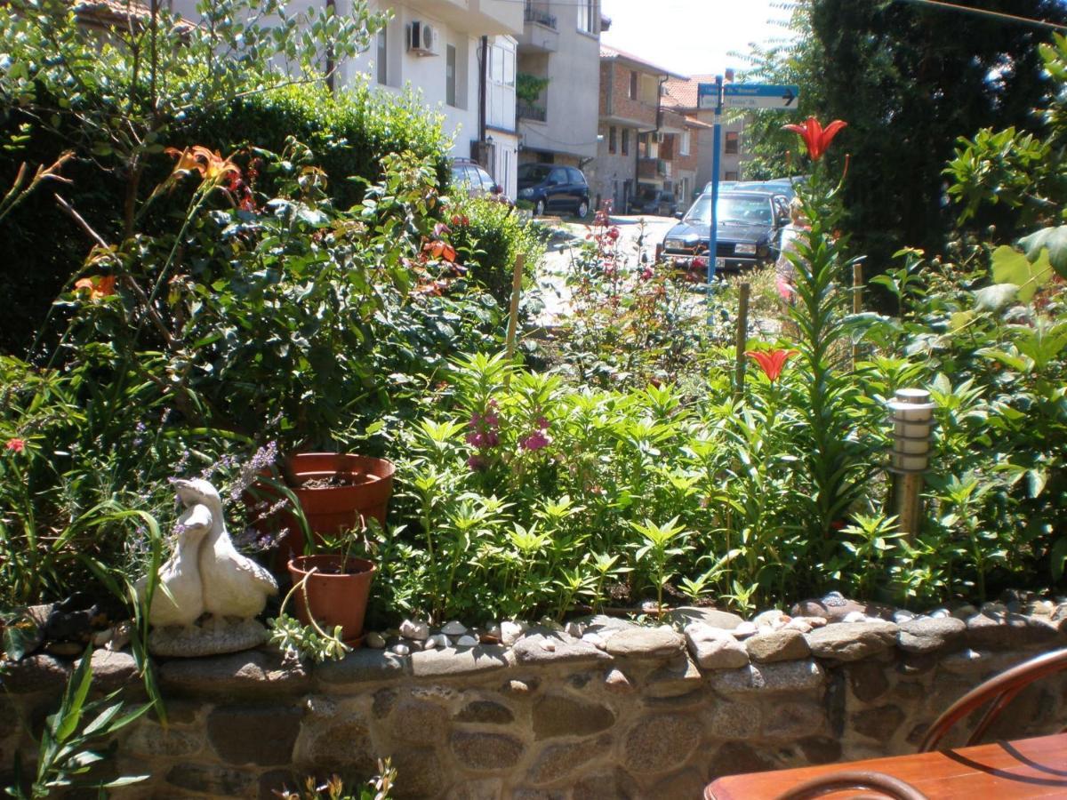 Family Hotel Emilia Sozopol Bagian luar foto