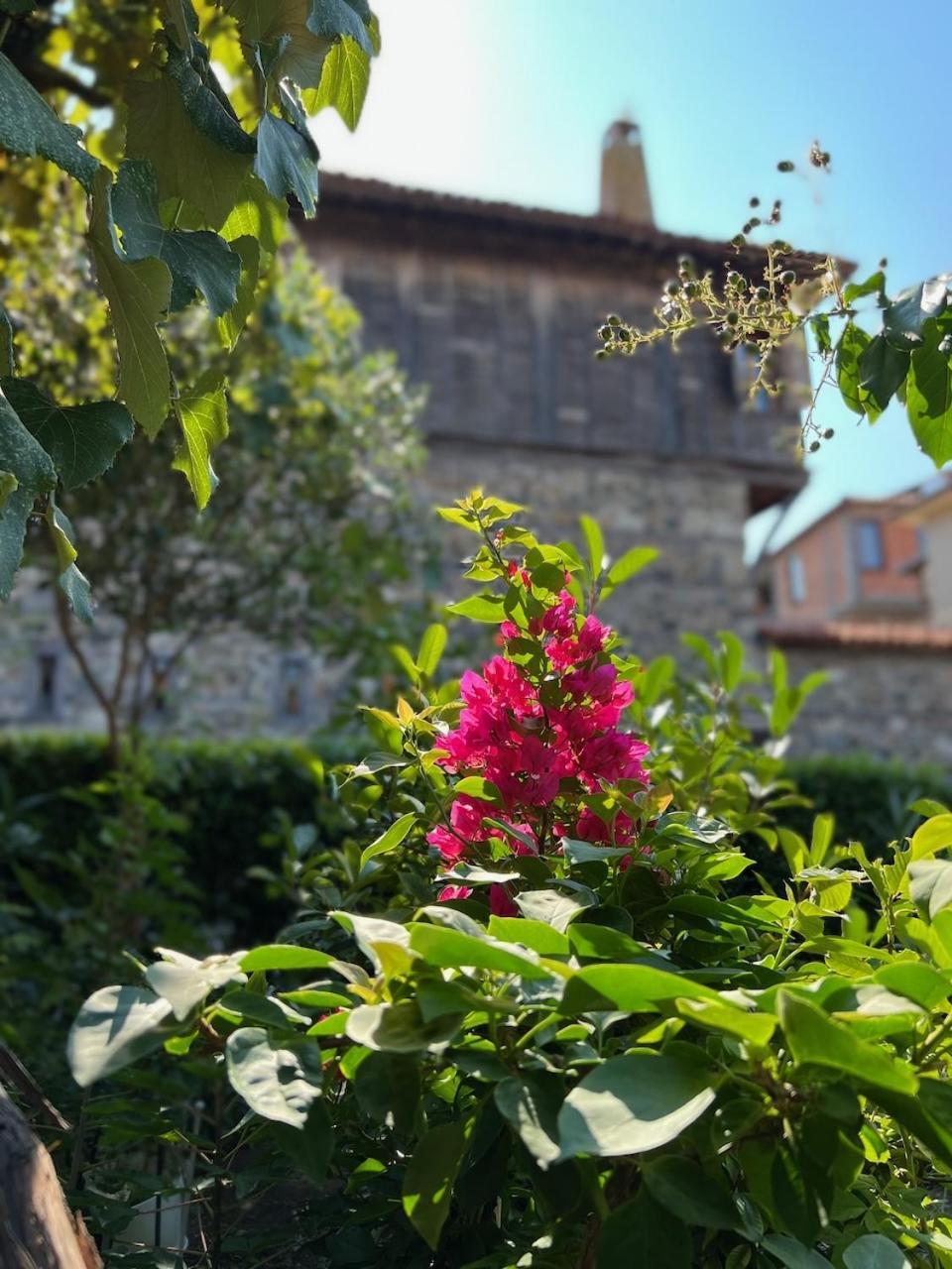 Family Hotel Emilia Sozopol Bagian luar foto