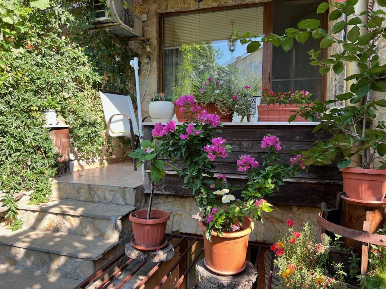 Family Hotel Emilia Sozopol Bagian luar foto