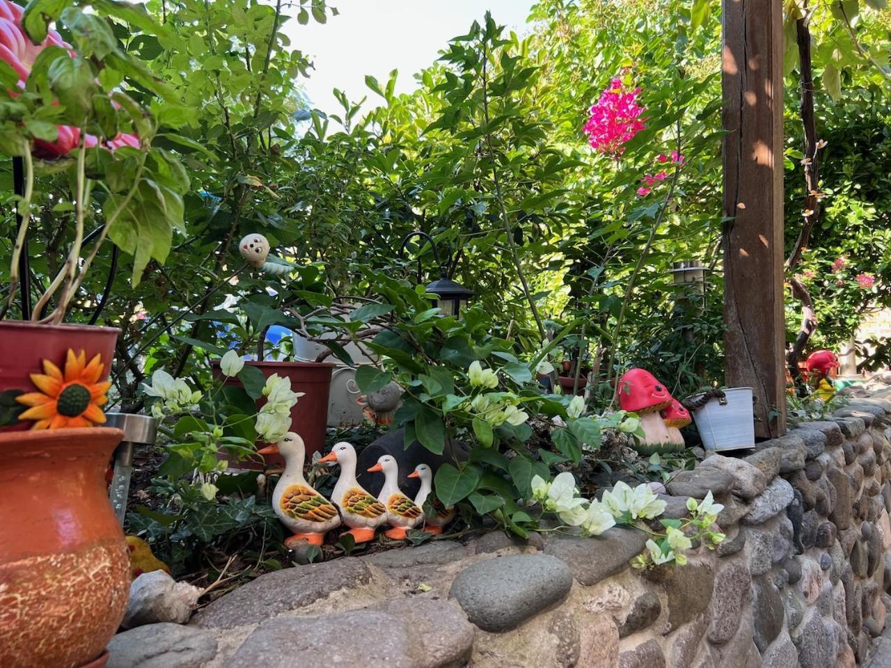 Family Hotel Emilia Sozopol Bagian luar foto